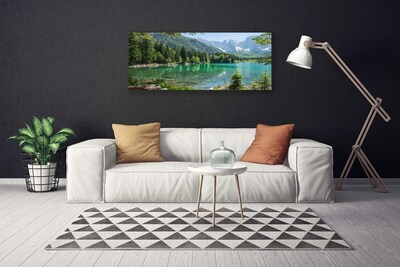 Obraz na plátně Hory Jezero Les Příroda