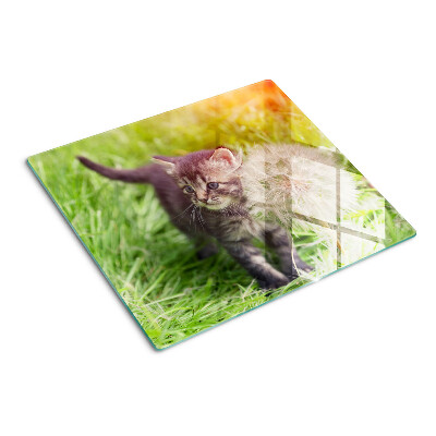 Skleněná deska do kuchyně Kočka na trávě