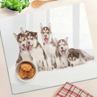 Skleněná krájecí deska Štěňata huskyho