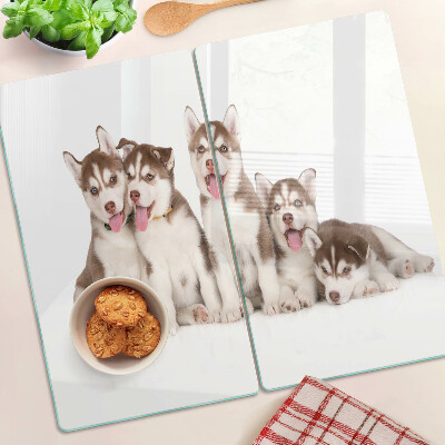 Skleněná krájecí deska Štěňata huskyho