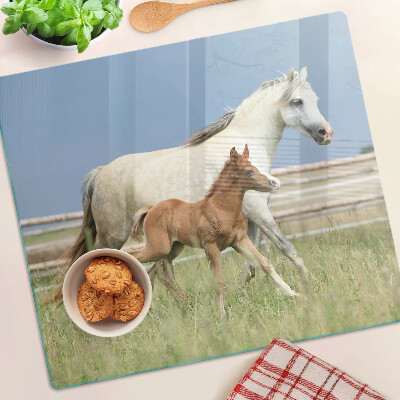 Skleněná deska do kuchyně Kůň s hříbětem na louce