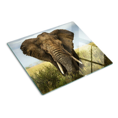 Krájecí prkénko skleněné Slon na pozadí africké savany