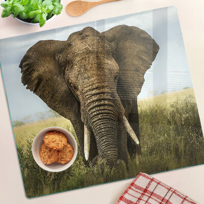 Krájecí prkénko skleněné Slon na pozadí africké savany