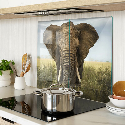 Krájecí prkénko skleněné Slon na pozadí africké savany