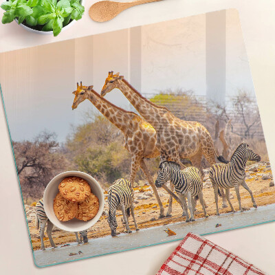 Skleněná deska do kuchyně Zebra a žirafa v jejich přirozeném prostředí