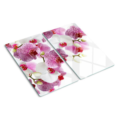 Skleněná deska do kuchyně Orchideje před oknem