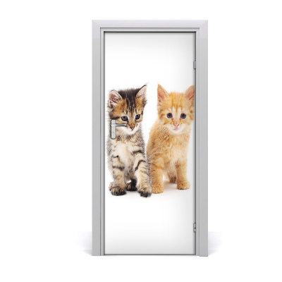 Samolepící fototapeta na dveře Šedá a rudá kočka