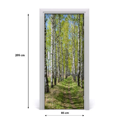 Fototapeta na dveře samolepící břízový les