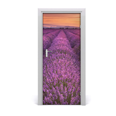 Fototapeta na dveře samolepící pole levandule
