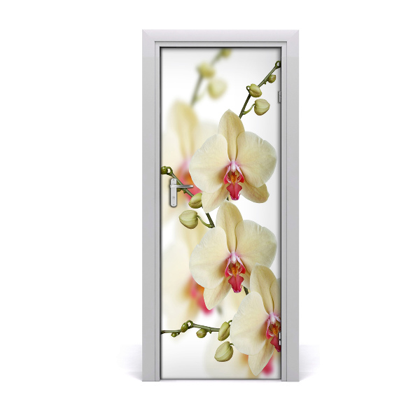 Samolepící fototapeta na dveře Orchidej