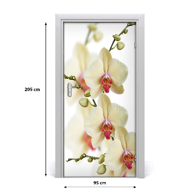 Samolepící fototapeta na dveře Orchidej