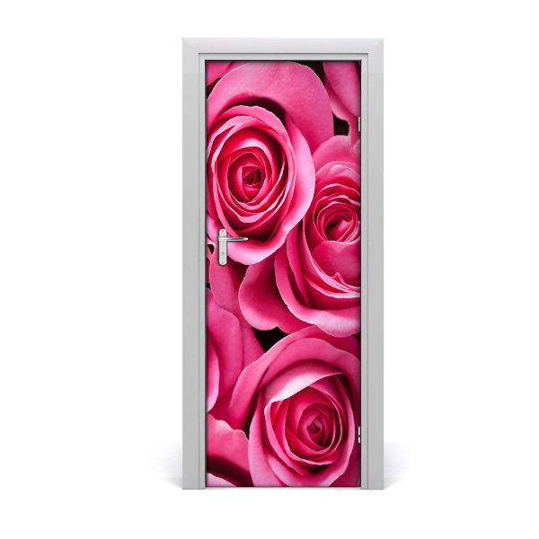 Samolepící fototapeta na dveře růžová růže