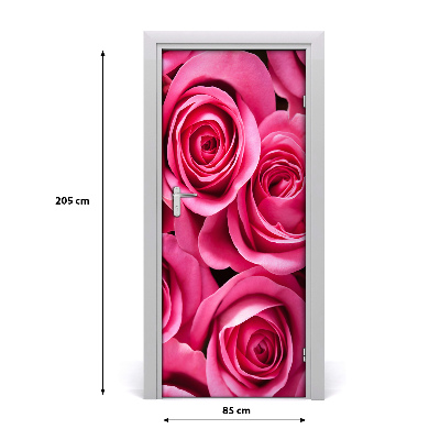 Samolepící fototapeta na dveře růžová růže