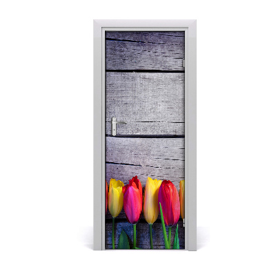 Samolepící fototapeta na dveře barevné tulipány