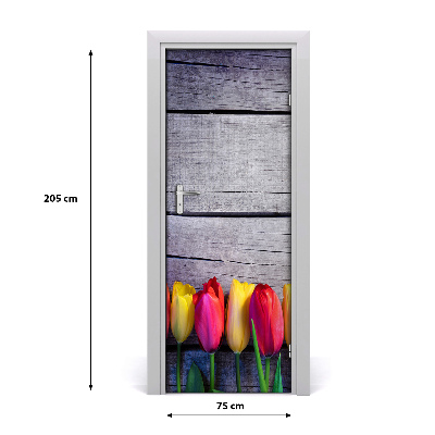 Samolepící fototapeta na dveře barevné tulipány