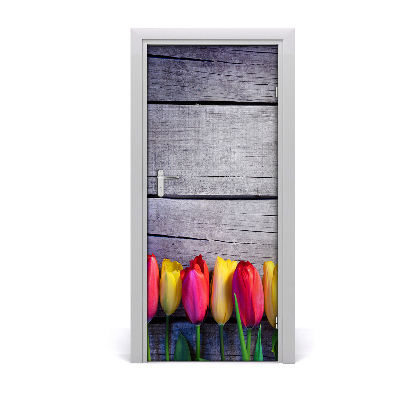 Samolepící fototapeta na dveře barevné tulipány