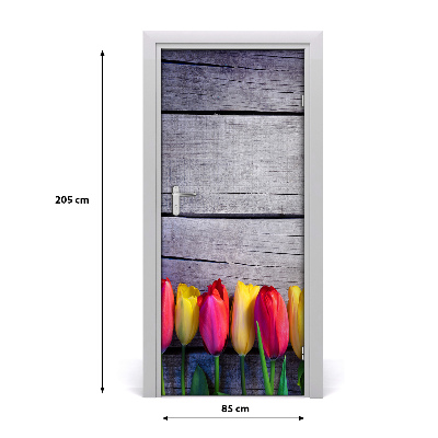 Samolepící fototapeta na dveře barevné tulipány