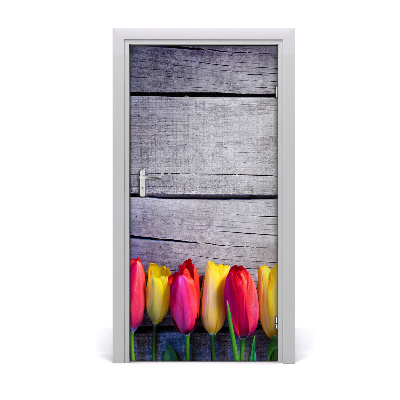 Samolepící fototapeta na dveře barevné tulipány