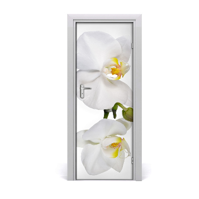 Samolepící fototapeta na dveře Bílá orchidej