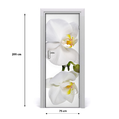 Samolepící fototapeta na dveře Bílá orchidej