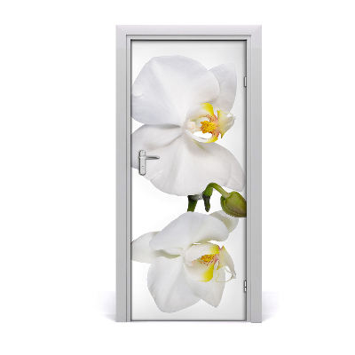 Samolepící fototapeta na dveře Bílá orchidej