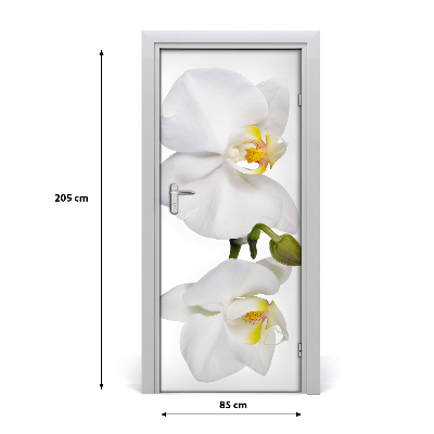 Samolepící fototapeta na dveře Bílá orchidej