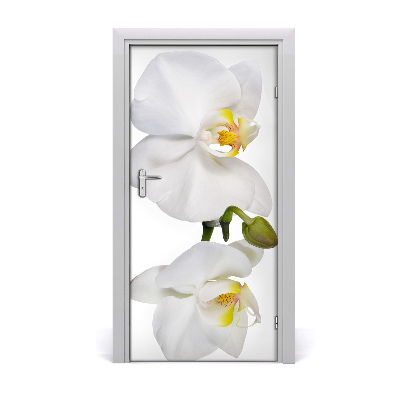 Samolepící fototapeta na dveře Bílá orchidej