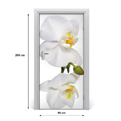 Samolepící fototapeta na dveře Bílá orchidej