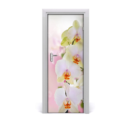 Samolepící fototapeta na dveře Bílá orchidej