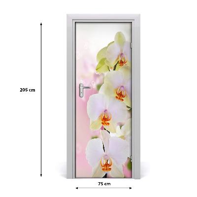 Samolepící fototapeta na dveře Bílá orchidej