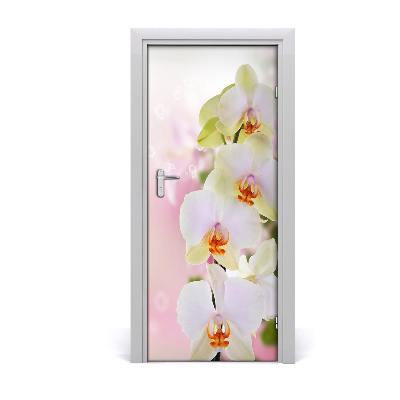 Samolepící fototapeta na dveře Bílá orchidej