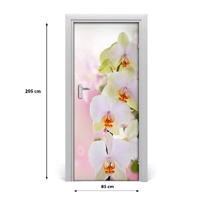 Samolepící fototapeta na dveře Bílá orchidej