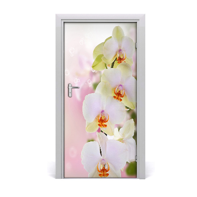 Samolepící fototapeta na dveře Bílá orchidej