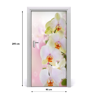 Samolepící fototapeta na dveře Bílá orchidej