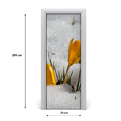 Samolepící fototapeta na dveře Žluté krokusy