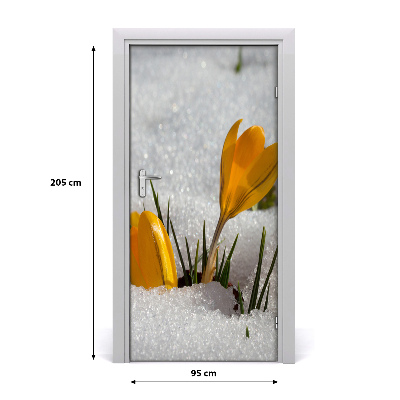 Samolepící fototapeta na dveře Žluté krokusy