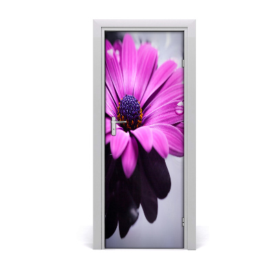 Samolepící fototapeta na dveře Růžová gerbera