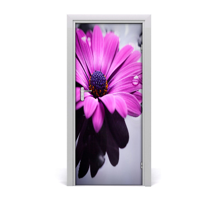 Samolepící fototapeta na dveře Růžová gerbera