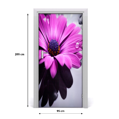Samolepící fototapeta na dveře Růžová gerbera