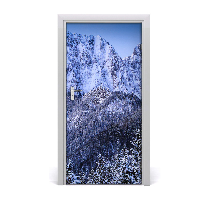 Fototapeta na dveře samolepící Tatry