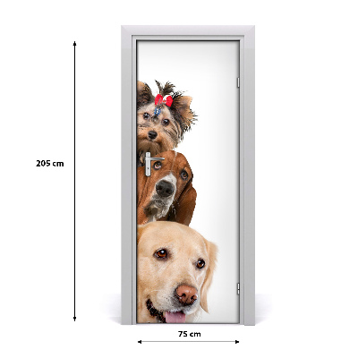 Samolepící fototapeta na dveře Psi a kočky