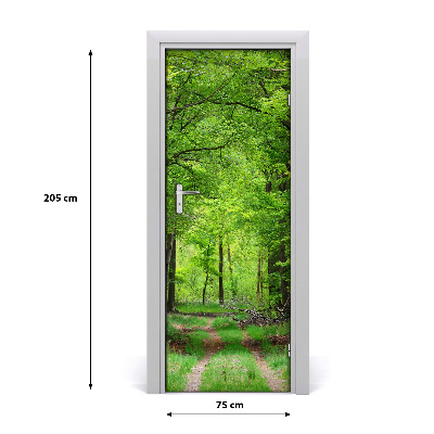 Fototapeta na dveře samolepící zelený les