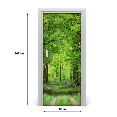 Fototapeta na dveře samolepící zelený les