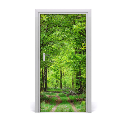 Fototapeta na dveře samolepící zelený les
