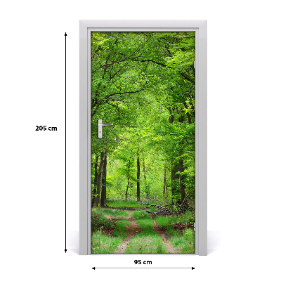 Fototapeta na dveře samolepící zelený les