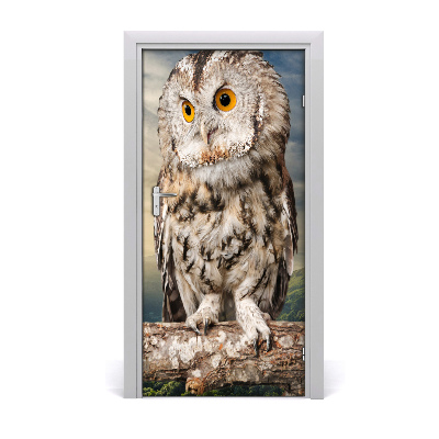 Samolepící fototapeta na dveře Sova na kopci