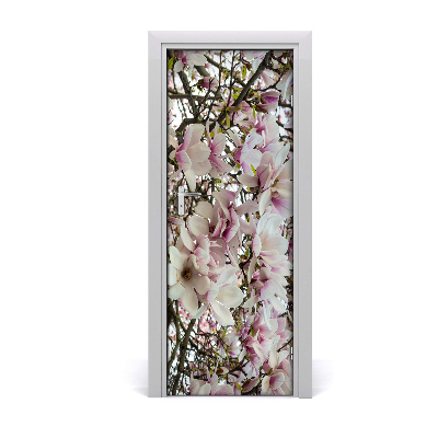 Fototapeta na dveře Květ magnolie