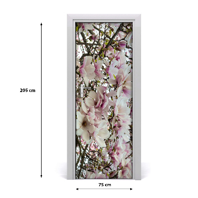Fototapeta na dveře Květ magnolie