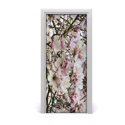 Fototapeta na dveře Květ magnolie