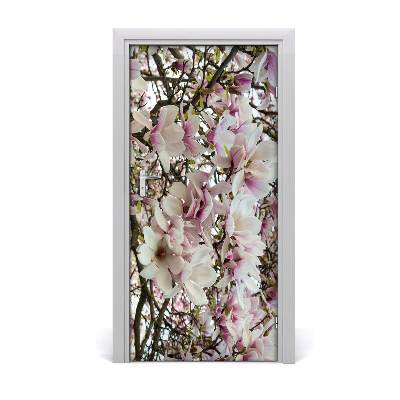 Fototapeta na dveře Květ magnolie